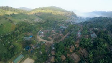 Similan Adaları Tayland Ulusal Parkı 'nda sualtı sarı çizgili balık