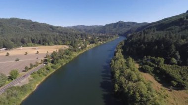 Similan Adaları Tayland Ulusal Parkı 'nda sualtı sarı çizgili balık