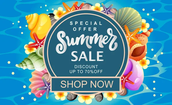 Summer Sale Banner Colorful Seashell Text — Stock Vector