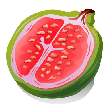 Bir dilim guava meyvesi.