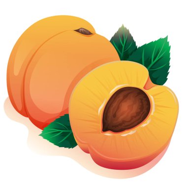 Tatlı kayısı. Şeftali renginden kesilmiş.