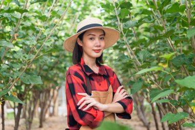 Asyalı güzel bir kadın bahçıvanın portresi şapka ve kahverengi önlük takıyor kollarını kavuşturup kameraya gülümsüyor ve dut ağacını kontrol ettikten sonra tarlada başarılı oluyor..