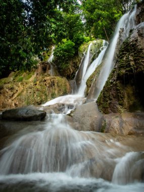 Trenggalek 'teki Pelang Şelalesi' nin verimli tropikal manzarası. Şelale yoğun yeşilliklerle çevrili ve sarkıt gibi yosun tabakaları var..