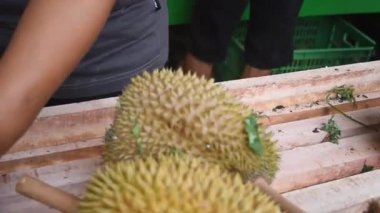 Yerel meyve satıcısı Durian 'ı bıçakla hazırlıyor, günlük pazar aktivitelerini ve Güneydoğu Asya gıda kültürünü yakalıyor.