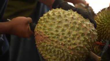 Meyve satıcısının, olgunlaşmış bir Durian 'ı bıçakla dilimleyip tropikal meyve ve sokak pazarının sembolik manzarasını ön plana çıkardığı yakın plan..