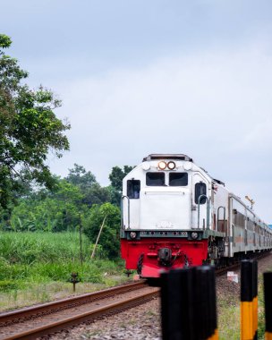 Lokomotif motoru demiryolu üzerinde arabaları çekiyor manzaralı kırsal arazide yol alıyor..