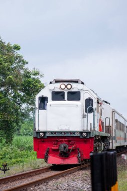 Kırsal alanda ilerleyen yolcu treni bulutlu bir gökyüzü altında yakalandı..