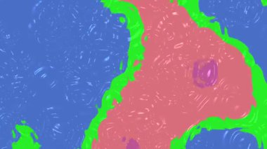 Sıvı Su C, soyut renkli akışkan sanat akışı, dalgalanma ve hareket halindeki organik şekiller, serbest telif hakkı.