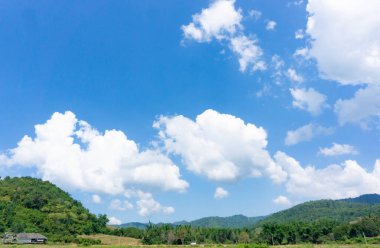 Kırsal alanda geleneksel bir Flaman mimari tuğla çiftliği. Orman kenarındaki kır evinde büyük bir tarla var..