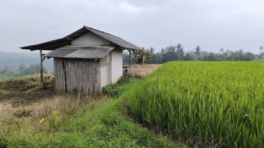 Geleneksel Bambu Kulübesi Yumuşak bir Gökyüzünün Altında.
