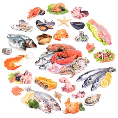 Seafood collection on a white background isolated