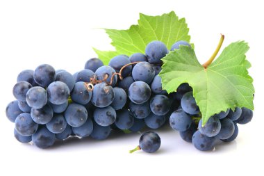 Beyaz arkaplanda üzümler