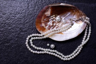 Siyah arkaplandaki kabuktaki inciler