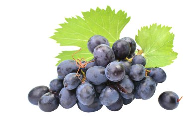 Beyaz arka planda üzüm izole
