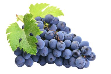 Beyaz arkaplanda bir demet üzüm