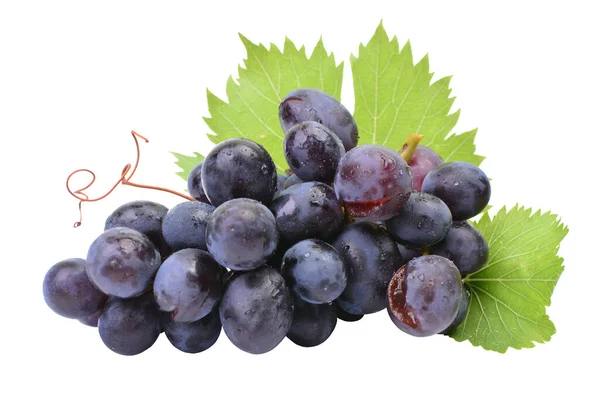 Beyaz arka planda üzüm izole