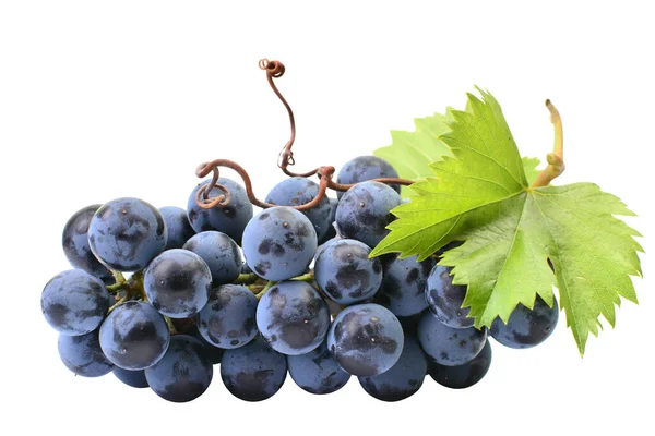 Beyaz arka planda üzüm izole
