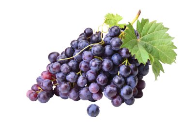 Beyaz arka planda üzüm izole