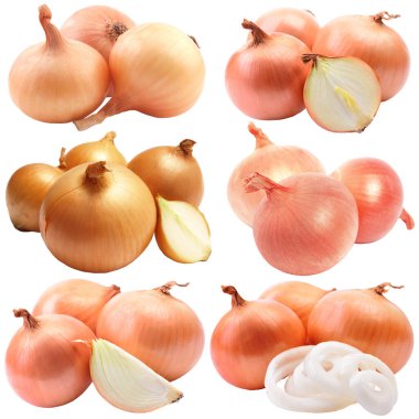 Beyaz izole arka plan üzerinde soğan