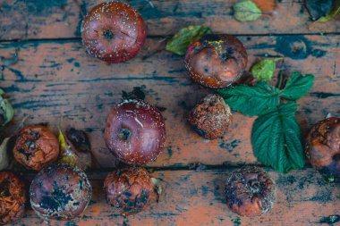 Çürük elmalar eski ahşap bahçe masasında yatıyor. Yüksek kalite fotoğraf