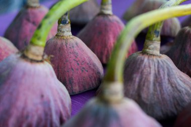 Güzel bir tohumlu nilüfer çiçeği mor bir masanın üzerine serilir. Lotus bitkisinin güzel tohum kutuları ve sapları. Web sitesi ve sayfa tasarımı için Mor Tonlu Lükslü Cright Clos Up Arkaplanı.