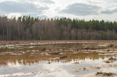 Toprağı sürmüş ekin eritilmiş suyla dolmuş. Tarlada bahar manzarası Çam ormanının yakınındaki dev su birikintisi. Yüksek kalite fotoğraf