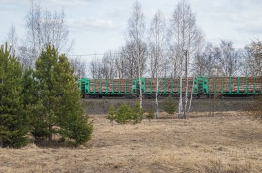 Bir yük treni huş ağaçlarıyla dolu vagonları taşır. Yüksek kalite fotoğraf