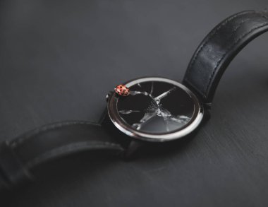 Görüntü siyah kayışlı bir kol saatini ve mekanik ve doğa arasında bir kontrastlık yaratan bir uğur böceğinin oturduğu bozuk kadranı gösteriyor. Minimalist stil yaratıcı arka plan. Yüksek kalite fotoğraf