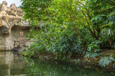 Kayalık bir mağara oluşumunun yakınındaki yemyeşil orman nehir manzarasında yol alan bir tekne. Atmosferik macera seyahat sahnesi keşfi, keşfi ve doğayla bağlantıyı temsil ediyor. Seyahat kampanyaları ve eko turizm hikayeleri için ideal.