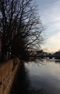 Sakin nehir yatağında sallanan çıplak kış ağaçları. Alacakaranlık Zürih 'te.