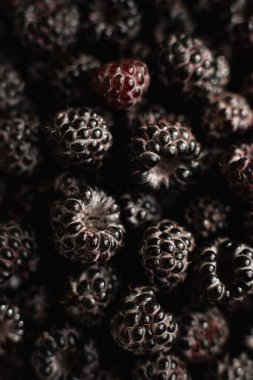 Taze organik siyah ahududulu makro doku. Koyu arkaplan, karamsar ışıklandırma.