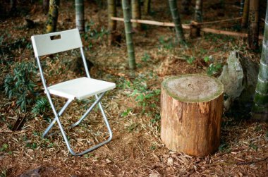 Basit bir beyaz katlanır sandalye sessiz bir bambu koruluğunda kırsal bir ahşap kütüğün yanında, huzurlu bir dinlenme yeri oluşturur..