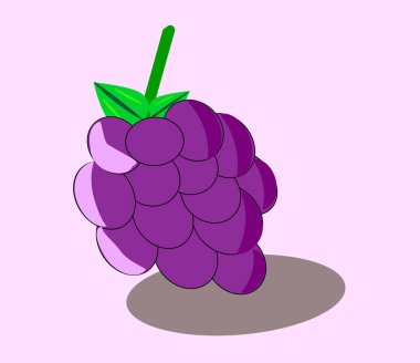 üzümler taze ikon vektör çizimi tasarımı