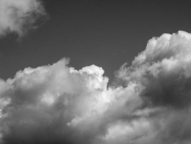 Beyaz bulutlar gökyüzünde siyah ve beyaz arka plan. Yumuşak kümülüs bulutları şekillenir