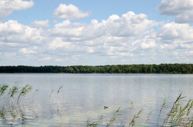 Yaz nehri arka planı, doğal duvar kağıdı