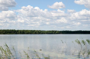 Yaz nehri arka planı, doğal duvar kağıdı