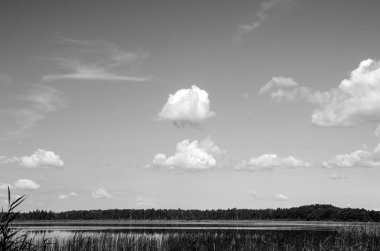 Modern şehrin arka planında kabarık beyaz bulutlarla siyah ve beyaz güzel gökyüzü, bulutlu duvar kağıdı