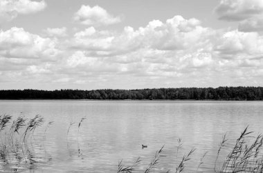 Modern şehrin arka planında kabarık beyaz bulutlarla siyah ve beyaz güzel gökyüzü, bulutlu duvar kağıdı