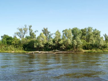 Nehir dalgaları ve sawyers üstünde o. Yaz saati sakin su