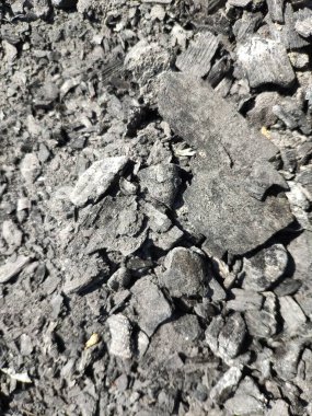 Kömür desenli yakın görüş arkaplanı. Kömür parçaları doku makro görünümü