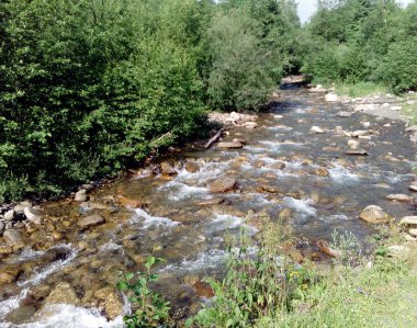 Dağ nehir ve yeşil çalılar, dağlarda yaz tatili
