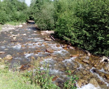 Hızlı akış aşağı dağ Nehri