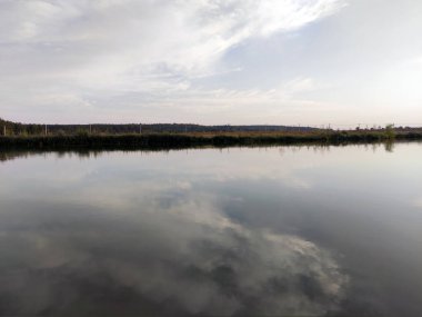 Gün batımında göl ve orman, resimli duvar kağıdı.