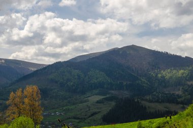 Dağlarda yaz tatili. Doğal dağ manzaraları