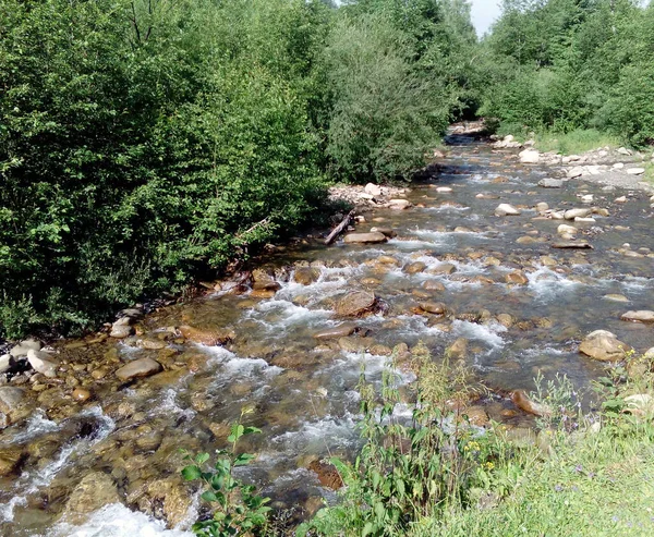 Hızlı akış aşağı dağ Nehri
