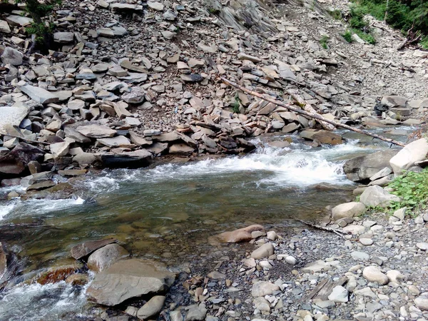 Karpat Dağları, Ukrayna nehirde dağ üzerinde köprü