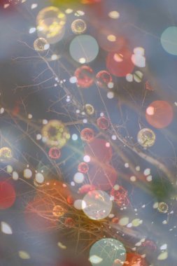 Soyut ışıltılı arka plan deseni, kutlama duvar kağıdı, sunum kapağı. Canlı renkler, şenlikli duvar kâğıdı çizimi