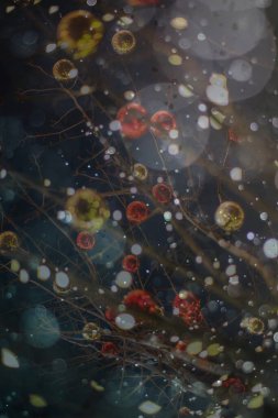 Soyut ışıltılı arka plan deseni, kutlama duvar kağıdı, sunum kapağı. Canlı renkler, şenlikli duvar kâğıdı çizimi