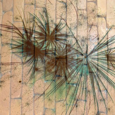 Soyut arka plan kalıpları, kutlama duvar kağıtları, sunum slaytları kapakları. Canlı renk dokusu, şenlikli duvar kağıdı