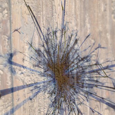 Soyut arka plan kalıpları, kutlama duvar kağıtları, sunum slaytları kapakları. Canlı renk dokusu, şenlikli duvar kağıdı